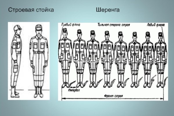 Одношереножный и двухшереножный строй