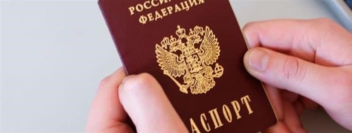 Проверка статуса получения гражданства РФ