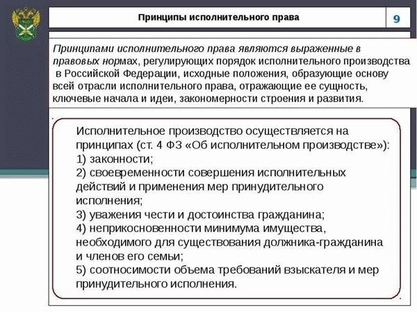 Принудительное исполнение в правовой системе