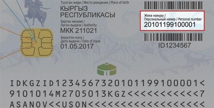 Получение ИНН в Кыргызстане: где оформить налоговый идентификационный номер?