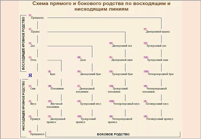 Взаимодействие мужа внучки с родителями племянника