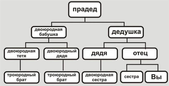 Особенности отношений между мужем внучки и детьми племянника