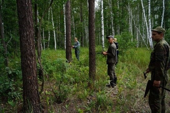 Регулирование климата и балансировка углеродного цикла