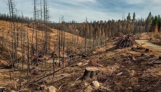 Содержание воздуха в здоровом состоянии и борьба с загрязнением